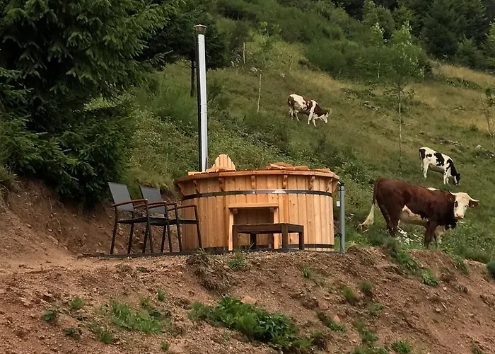 Prázdninový dům La Ferme Du Nol *