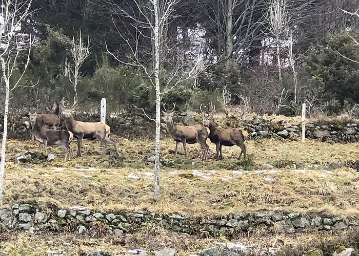 Prázdninový dům La Ferme Du Nol La Bresse